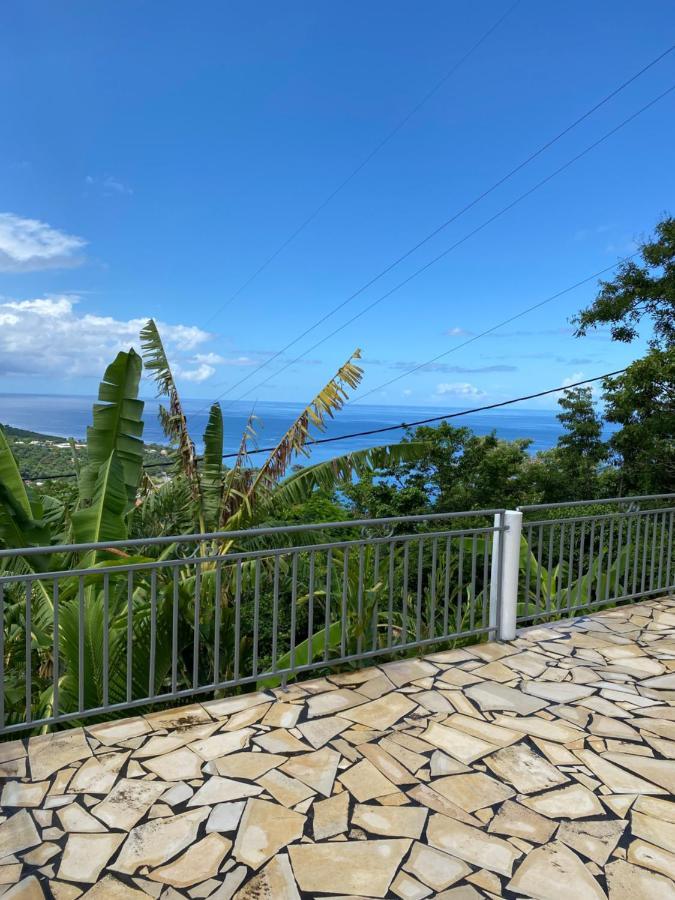 Bas De Villa Courbaril ブイヤント エクステリア 写真